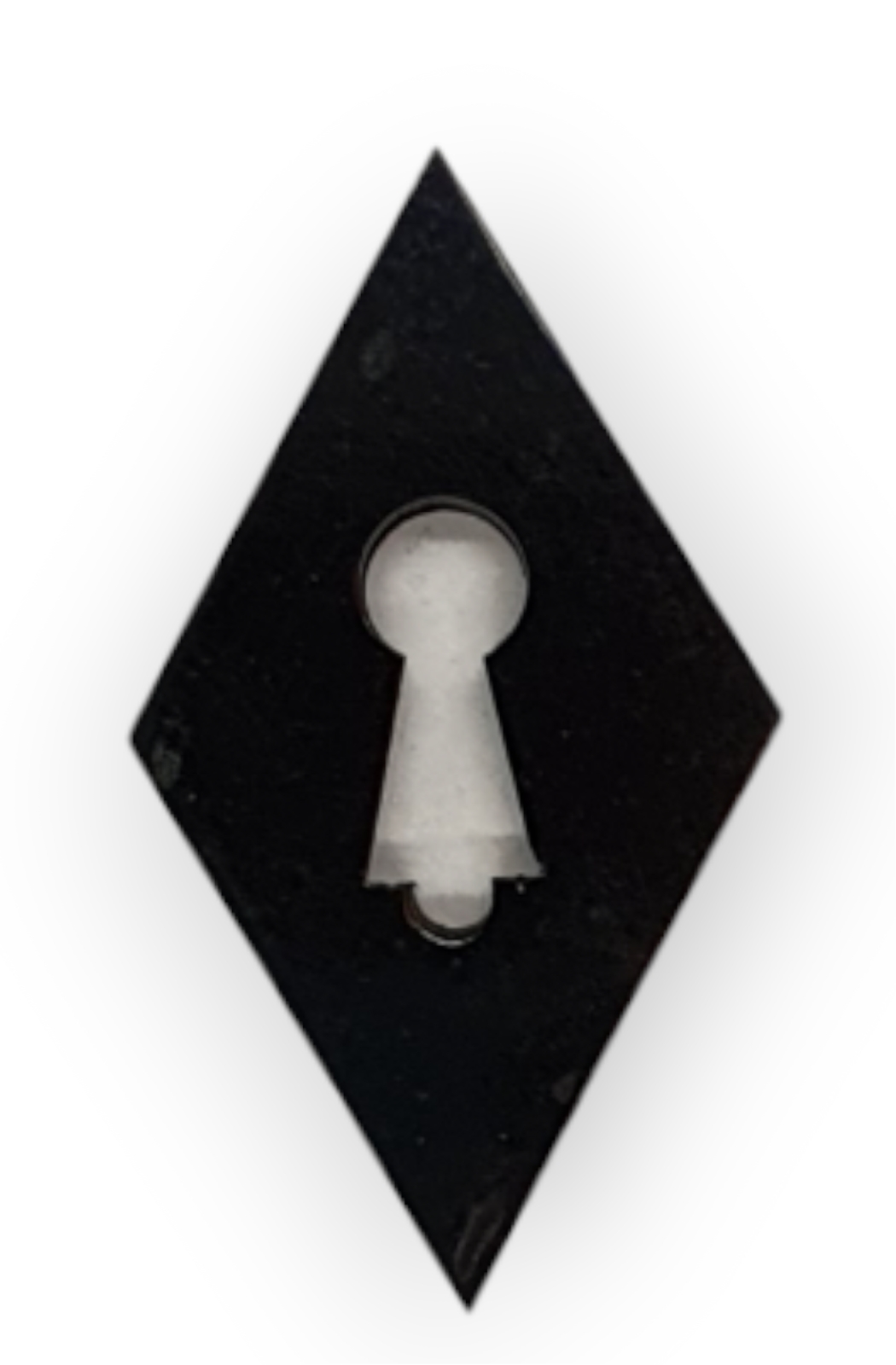Schild Horn Art. 2036  25*45mm